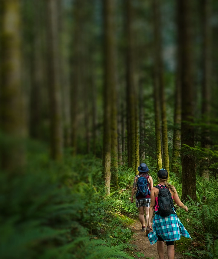 Two women on a hike in the forest